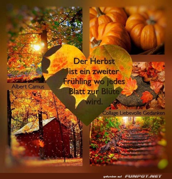 Der Herbst ist ein zweiter Frhling