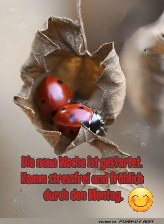 Die neue Woche ist gestartet