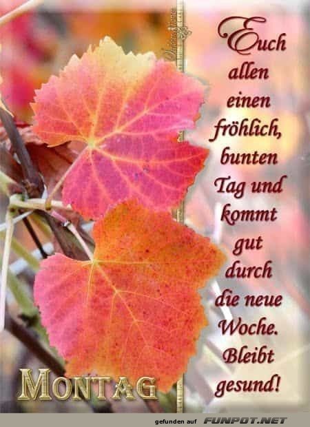 Euch allen einen fröhlich bunten Tag Euch allen einen fröhlich bunten Tag