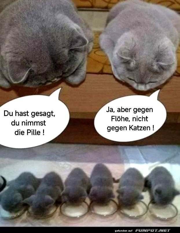 Du hast gesagt