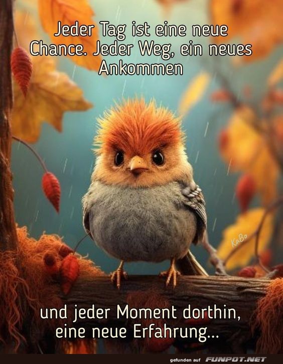 10 schne Sprche und Lebensweisheiten aus...