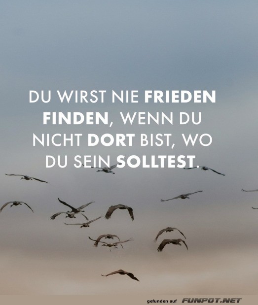 Frieden finden