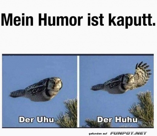 Kaputter Humor