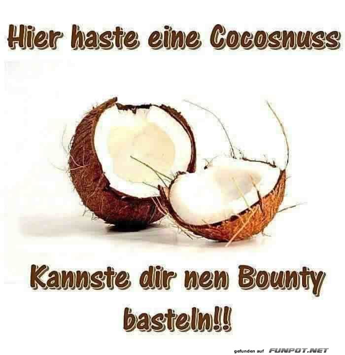 Hier eine Kokosnuss Hier eine Kokosnuss