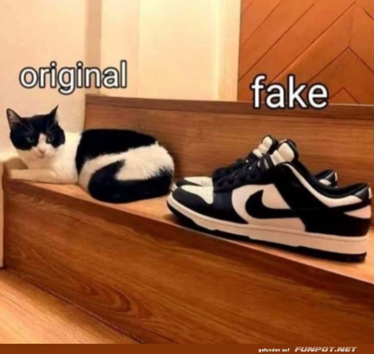 Original und Fake