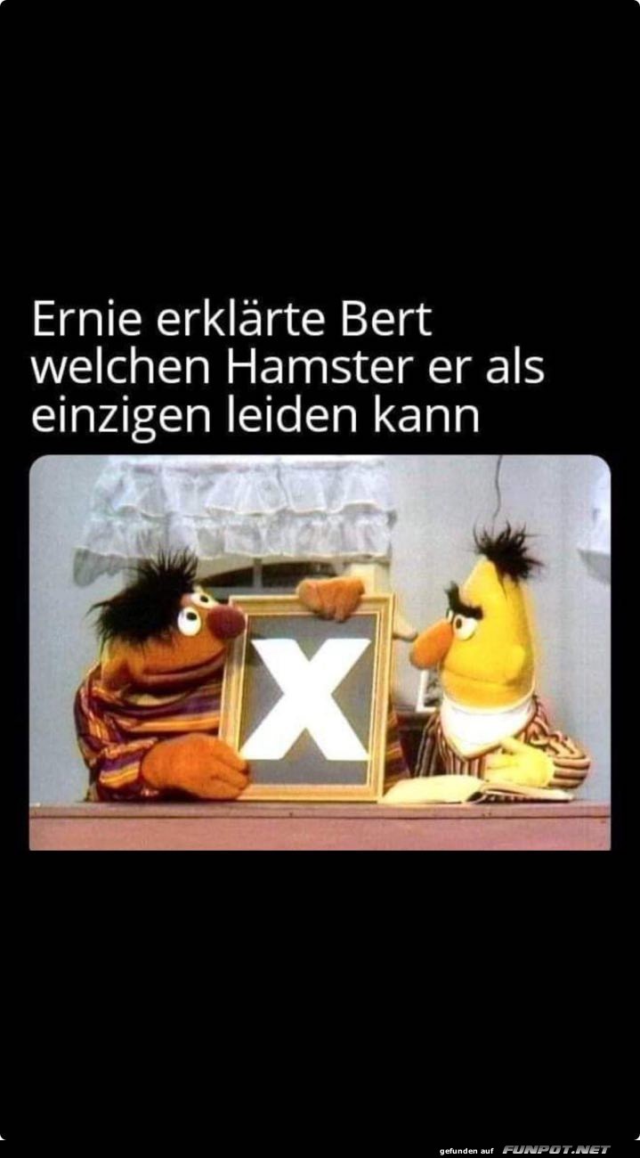 Kann ich verstehen