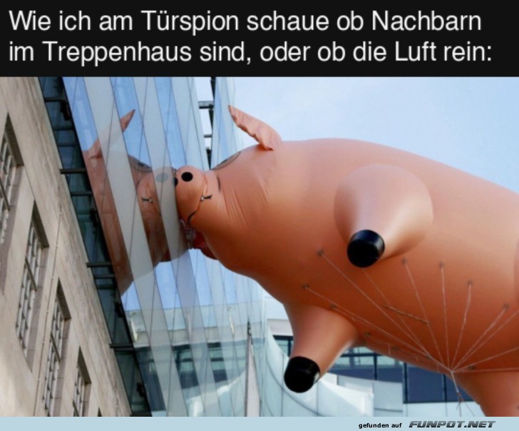 Wie ich durch den Trspion gucke