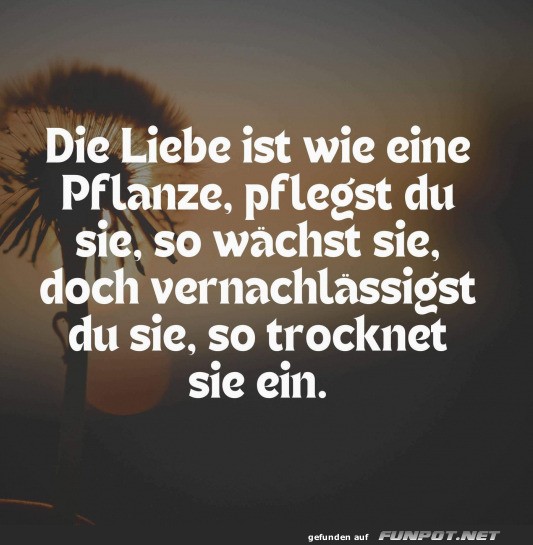 Die Liebe