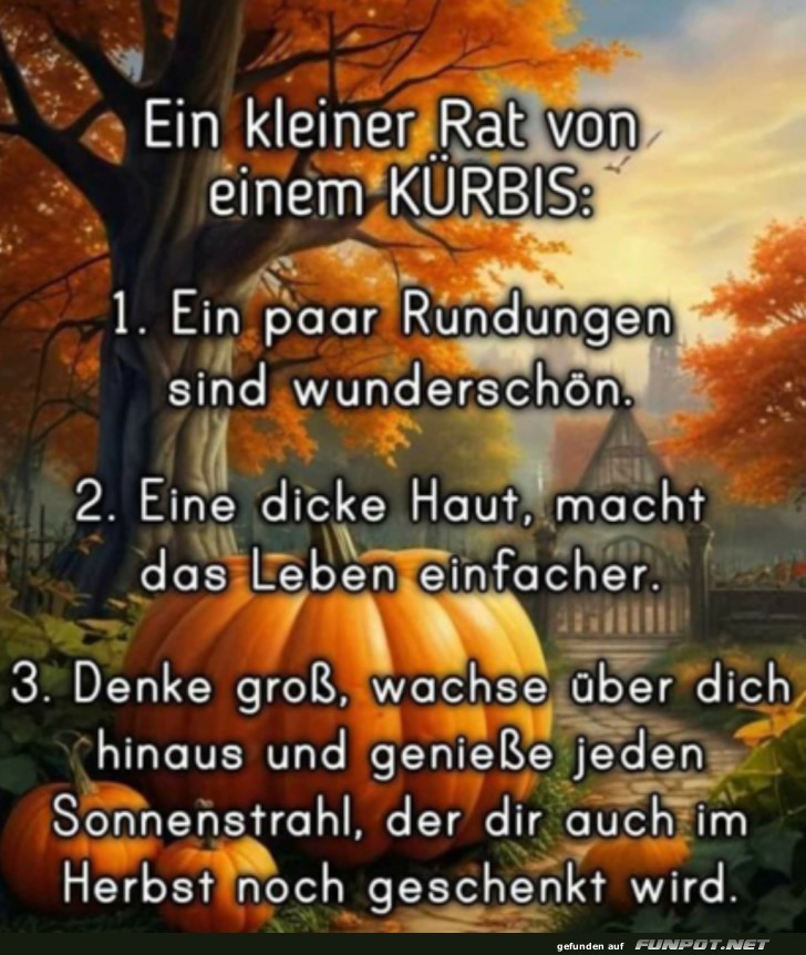 Kleiner Rat