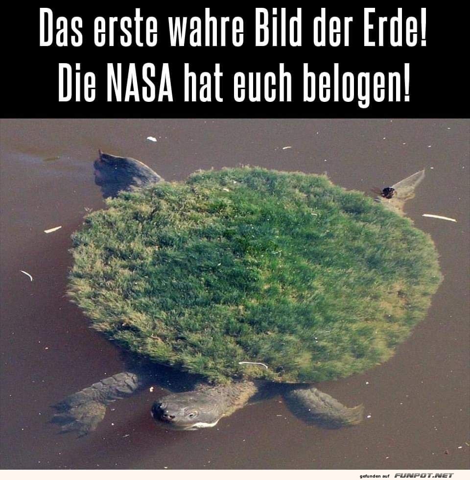 Das wahre Bild der Erde