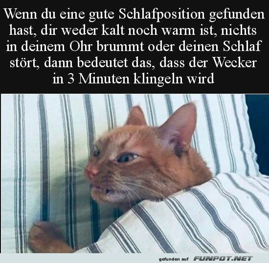 Wenn alles passt