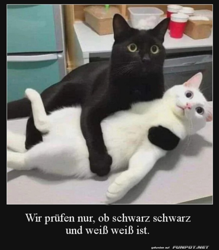 Wir prfen nur