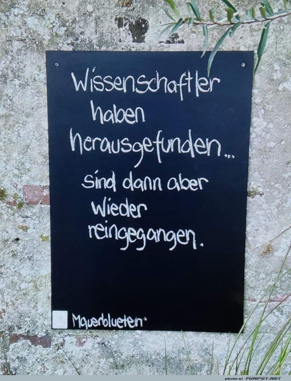 Wissenschaftler