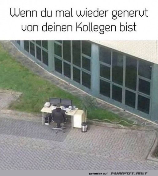 Keine Lust mehr auf die Kollegen