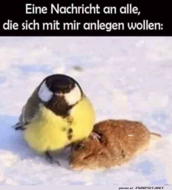 Eine Nachricht an alle