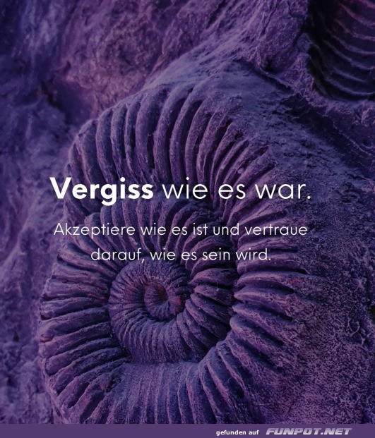 Vergiss wie es war