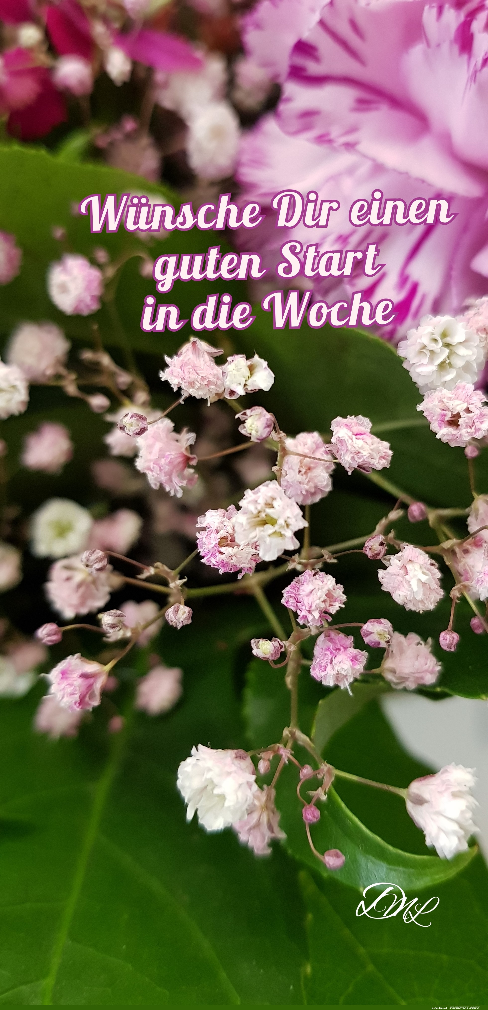 Wochenstart Blume 