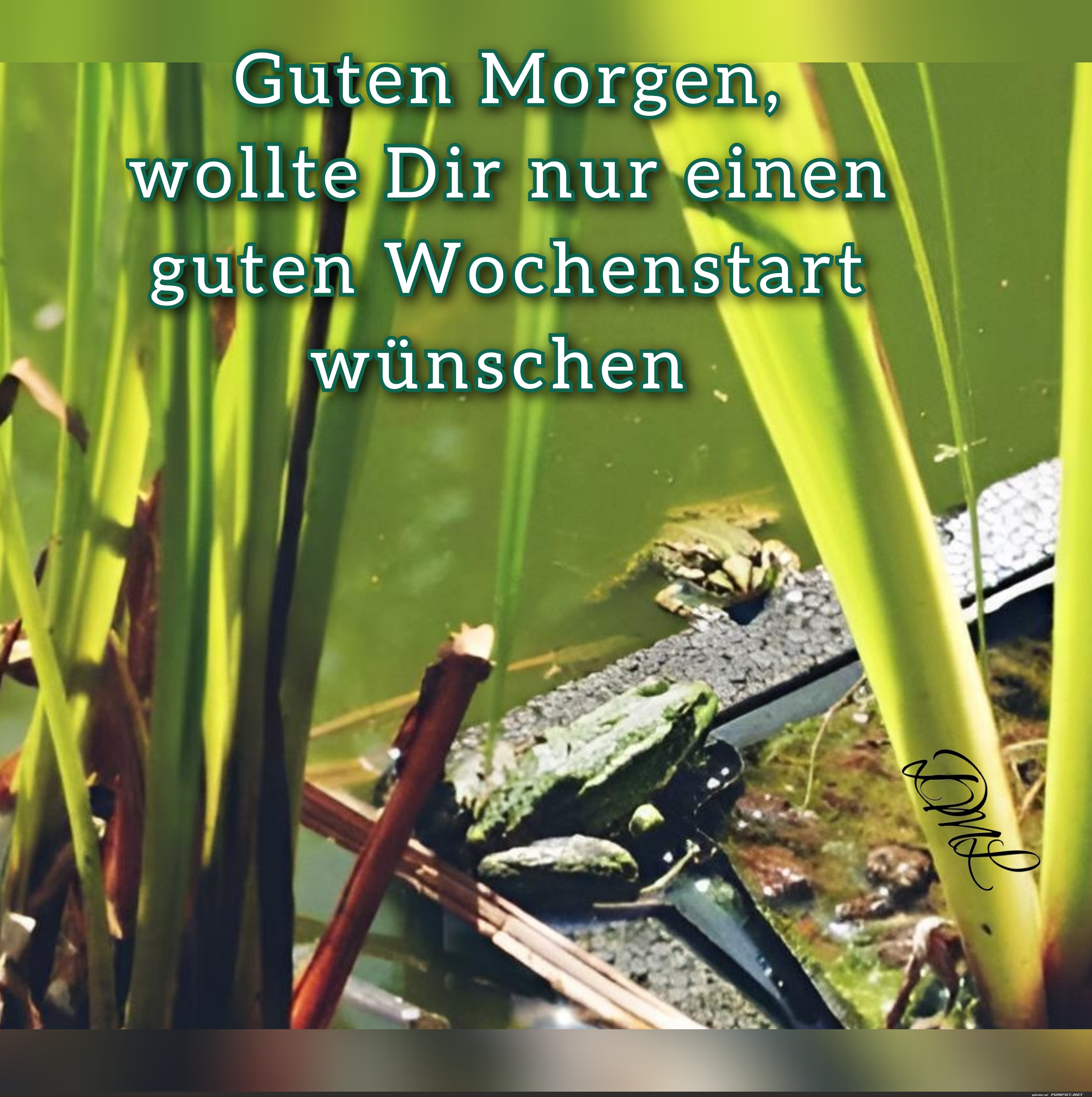 Wochenstart-Frsche 