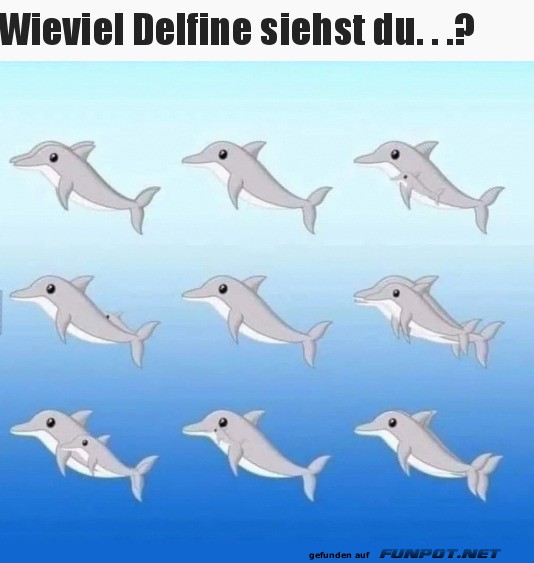 wie viele Delfine siehst du?