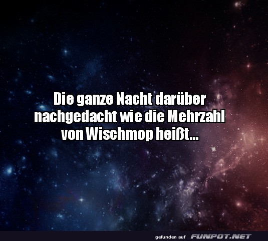 Mehrzahl von Wischmop