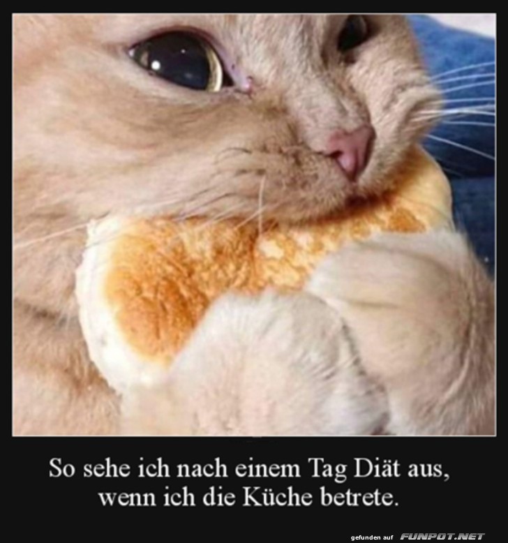 Nach einem Tag Dit