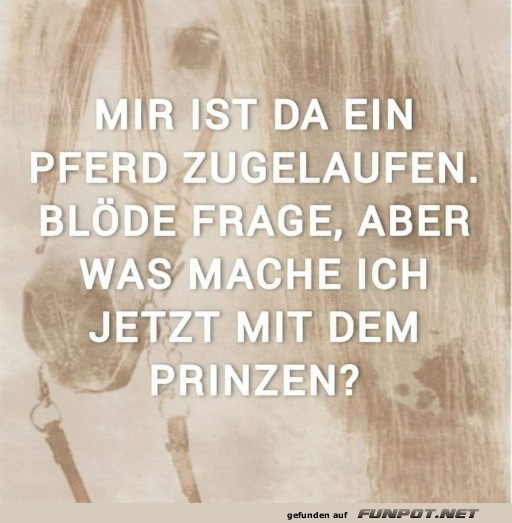 Gute Frage