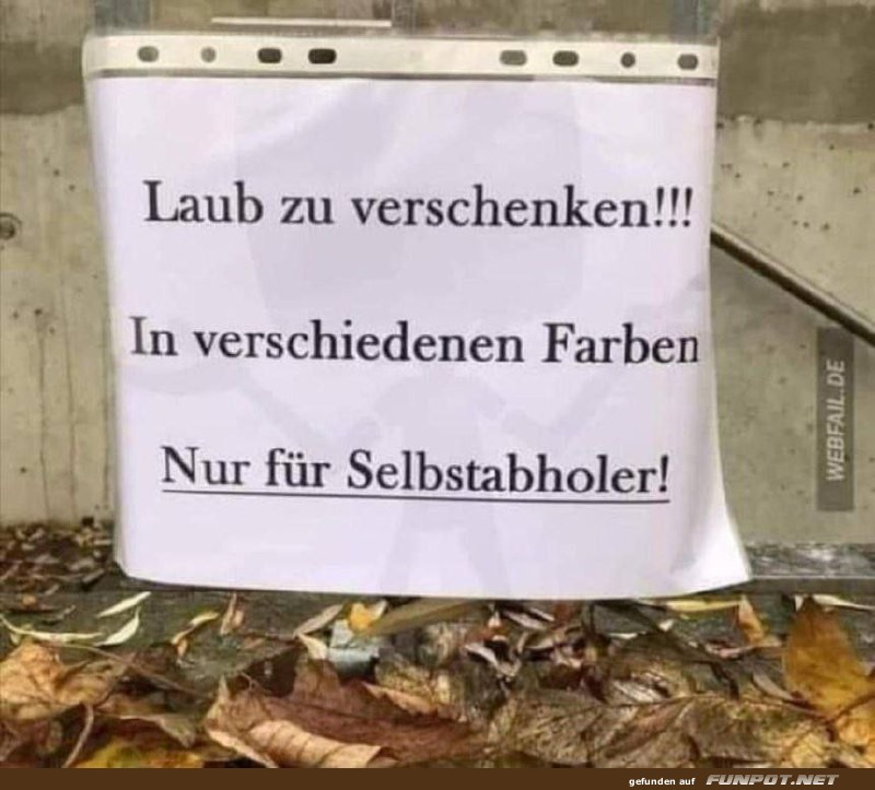 Laub zu verschenken