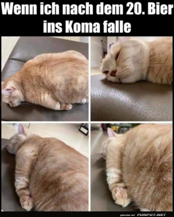 Ins Koma gefallen