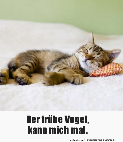 Der frhe Vogel ist mir egal