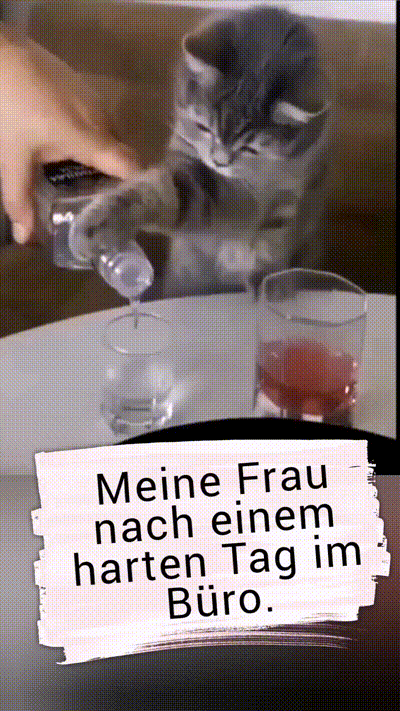 witzige animierte Bilder aus verschiedenen Blogs