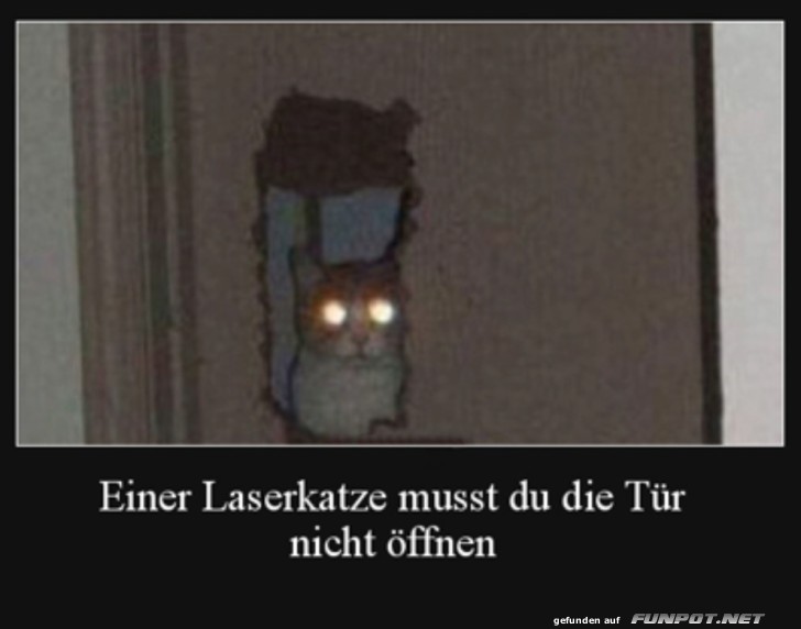 Die Laserkatze