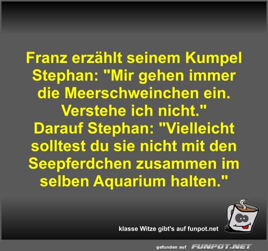 Franz erzhlt seinem Kumpel Stephan