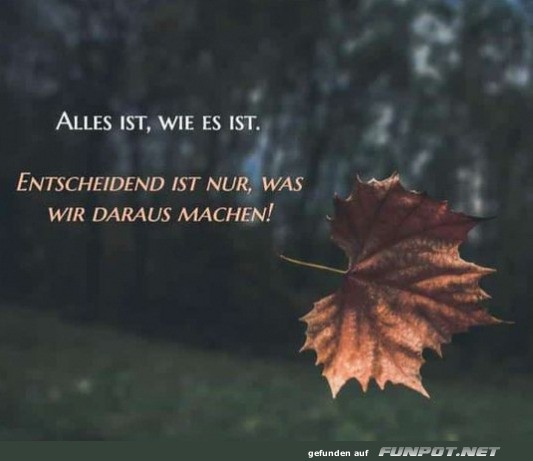 Alles ist wie es ist