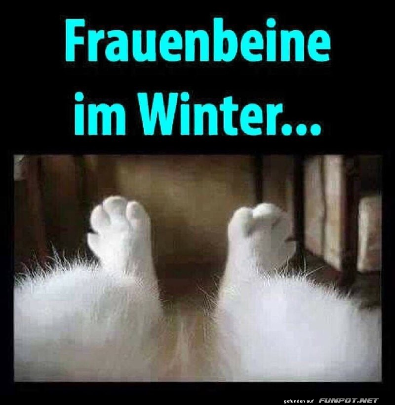 Frauenbeine im Winter