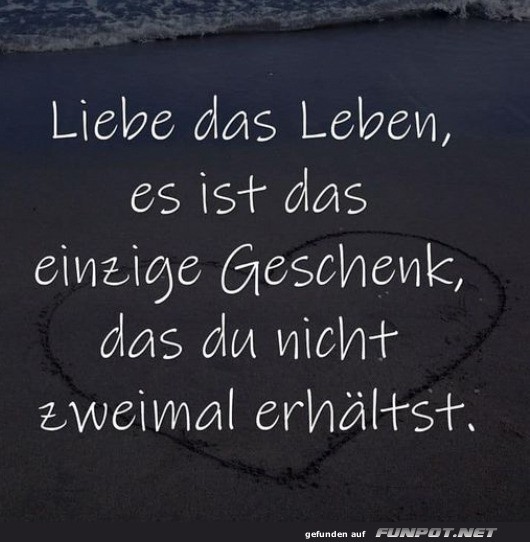 Liebe das Leben