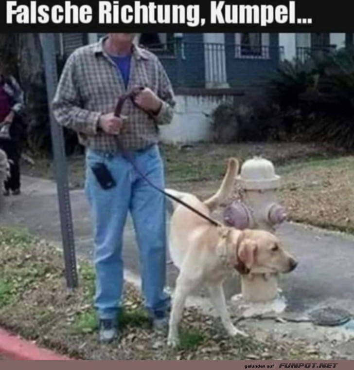 Falsche Richtung