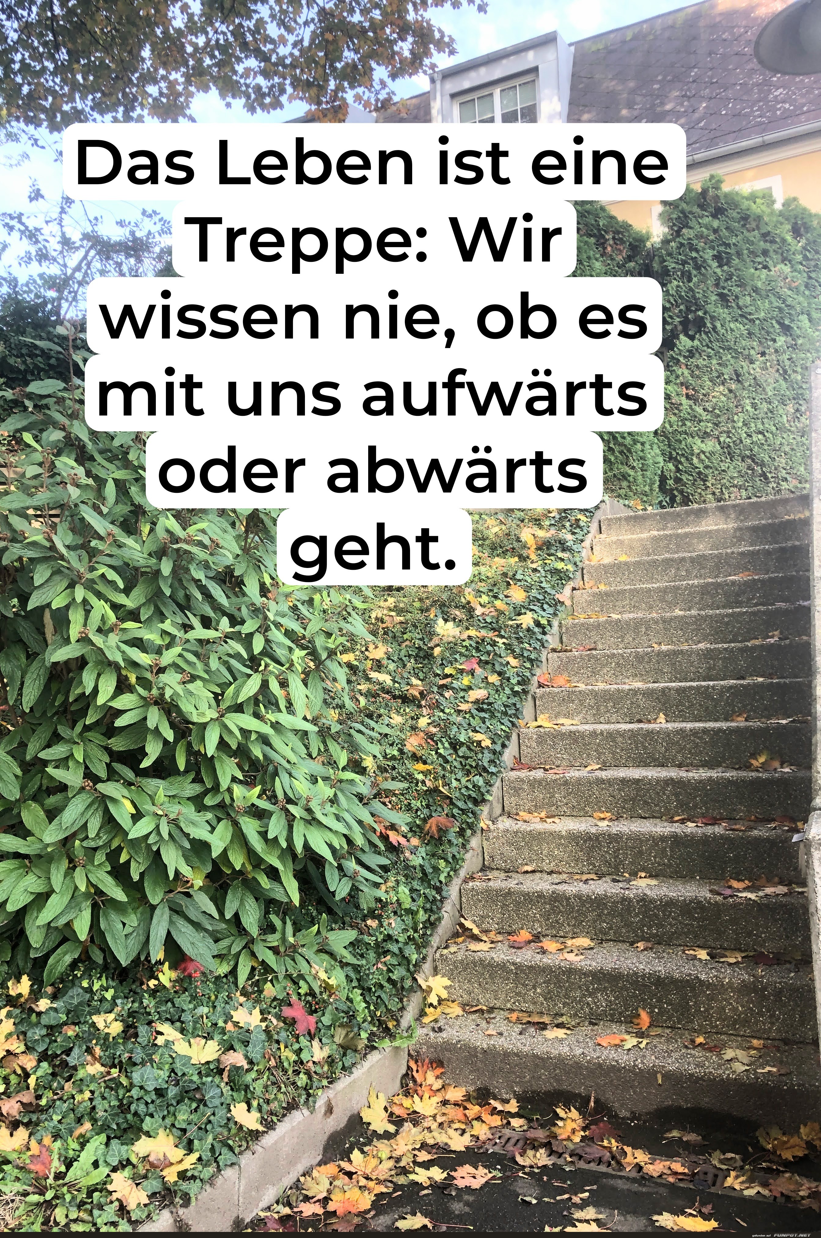 das leben ist eine treppe