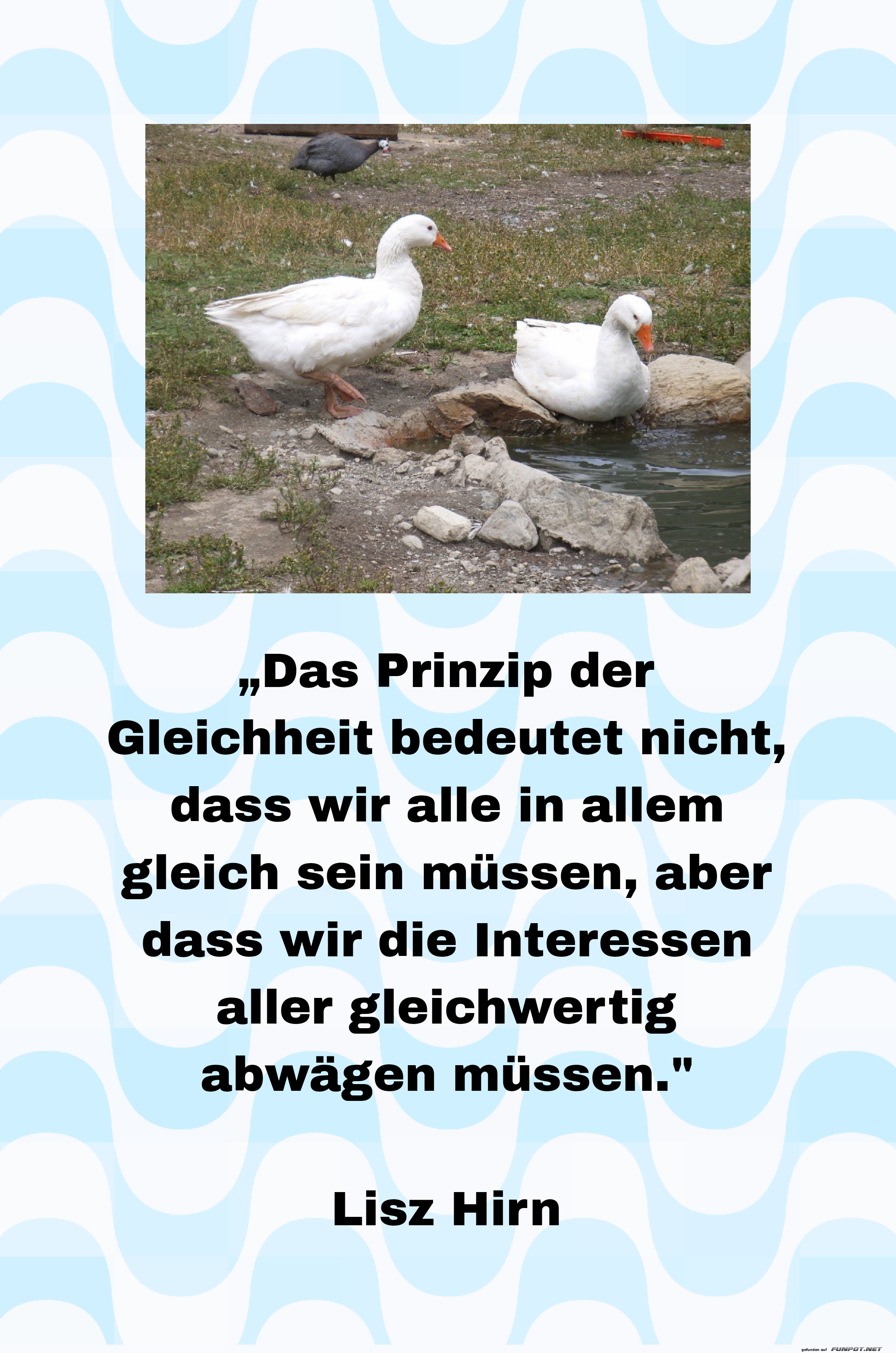 das prinzip der gleichheit