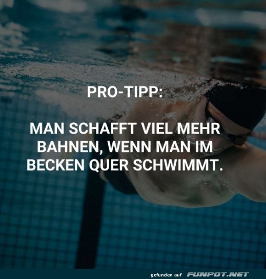 Toller Tipp