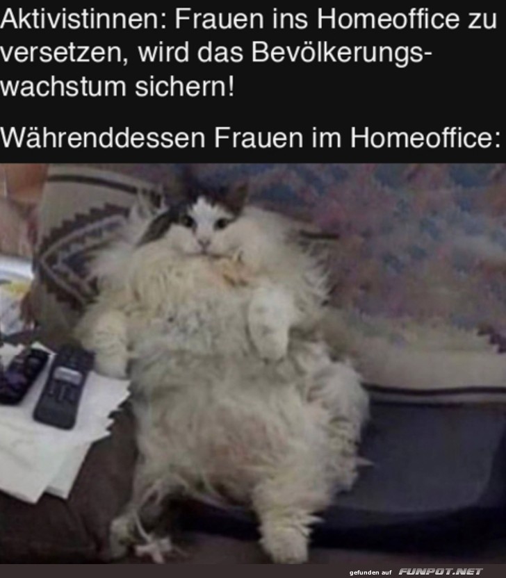 Frauen im Home Office