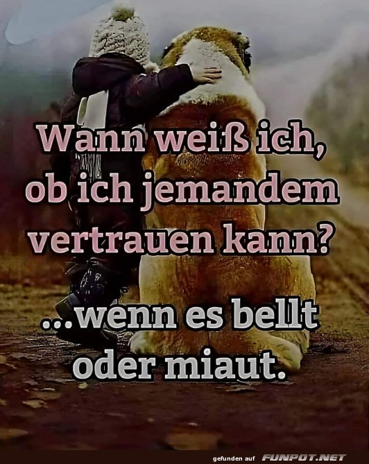 Wann wei ich