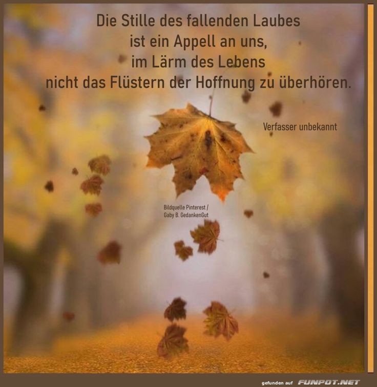 Die Stille des fallendes Laubes