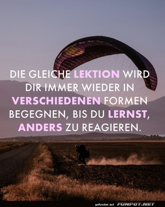 Die gleiche Lektion