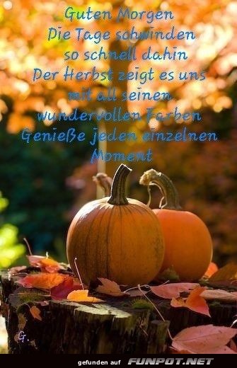 Die Tage schwinden so schnell dahin