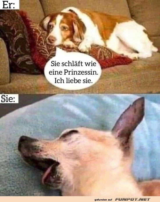 Was fr eine Prinzessin