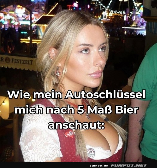 Mein Autoschlssel