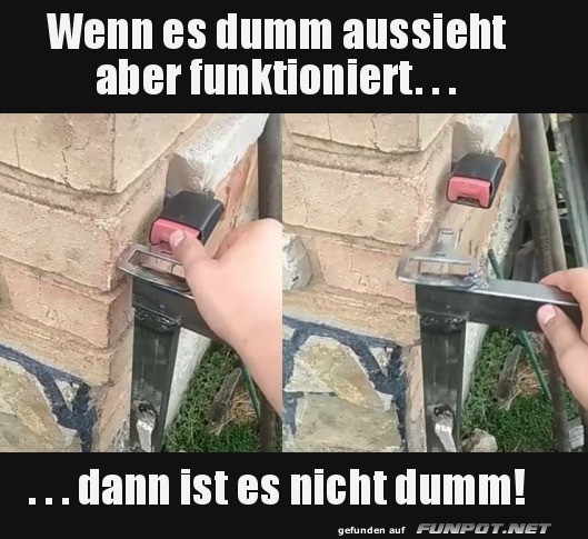 Wenn es dumm aussieht