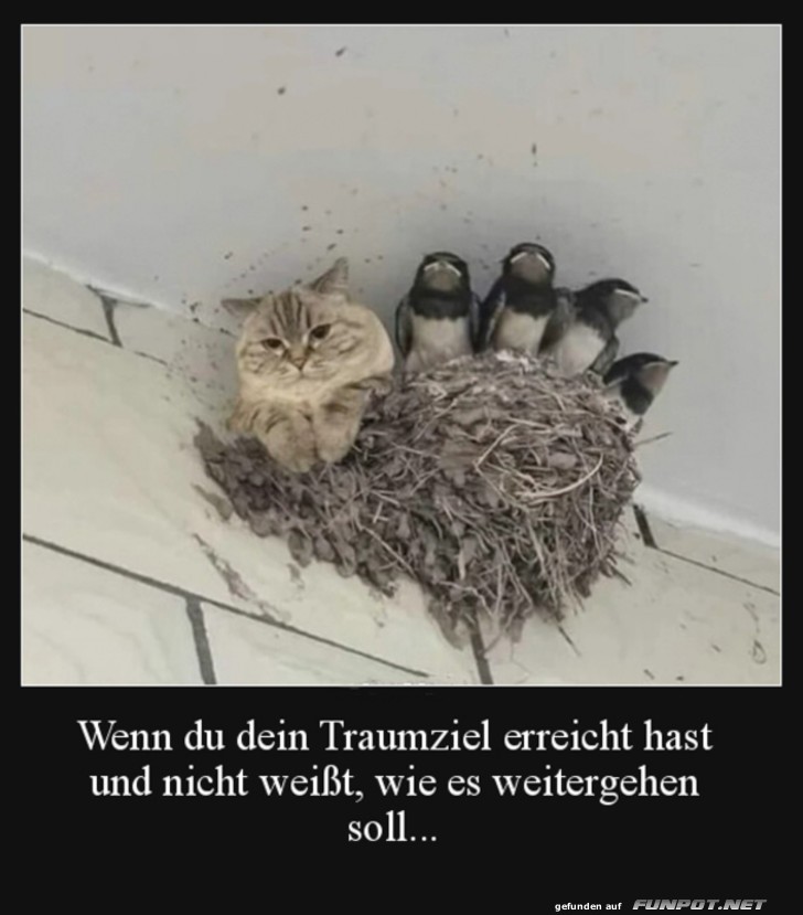 Traumziel erreicht