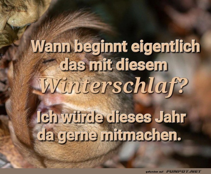 Winterschlaf