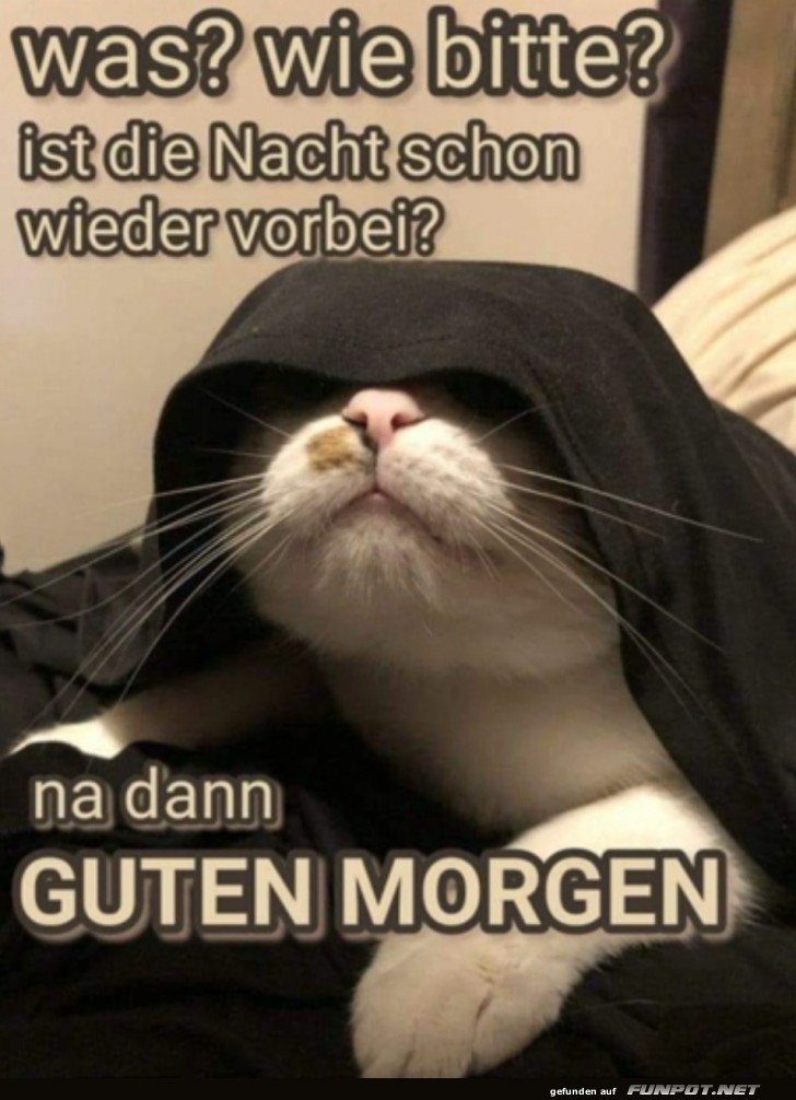 Guten Morgen